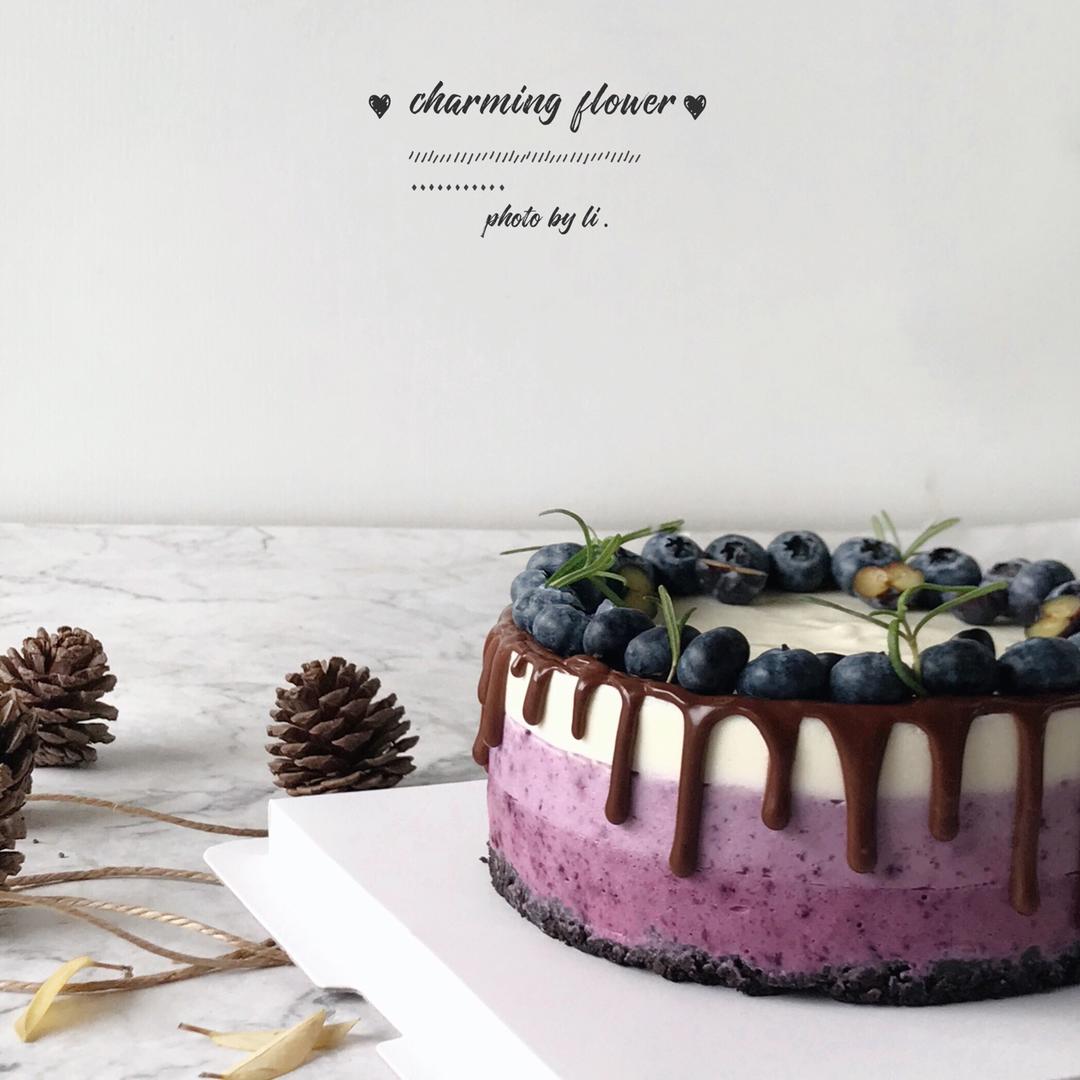 渐变蓝莓冻芝士蛋糕（免烤）