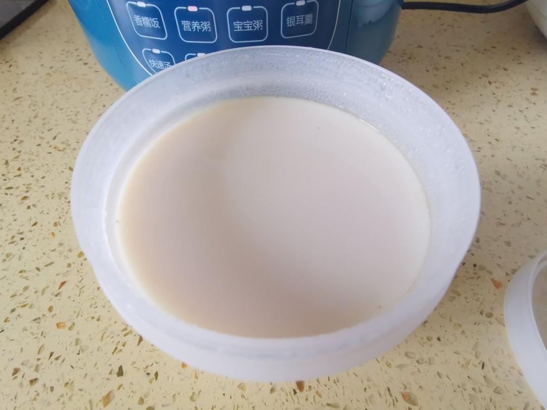 让你吃出牛奶肌的花胶炖鲜奶（花胶奶冻）