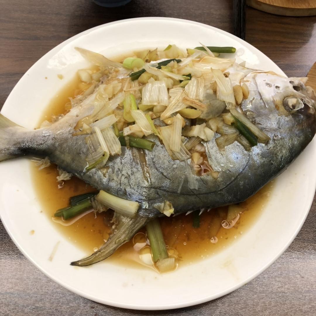 清蒸鲳鱼（仓鱼）