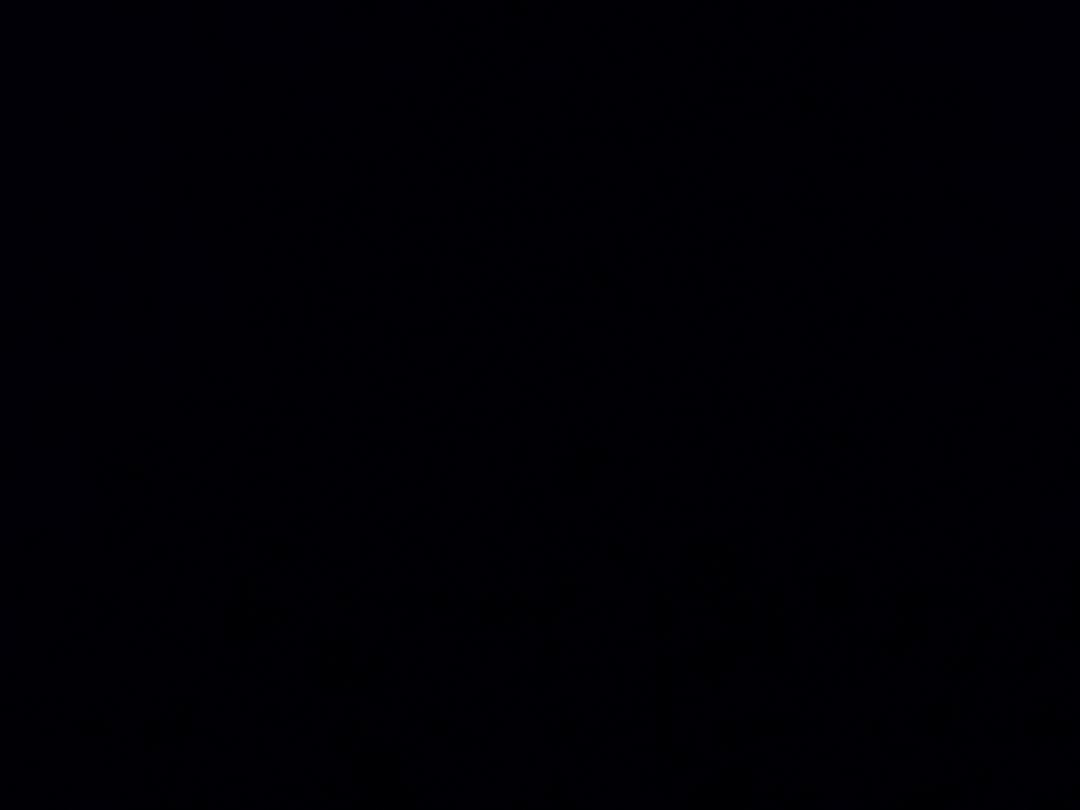 新手奶爸大萝卜头