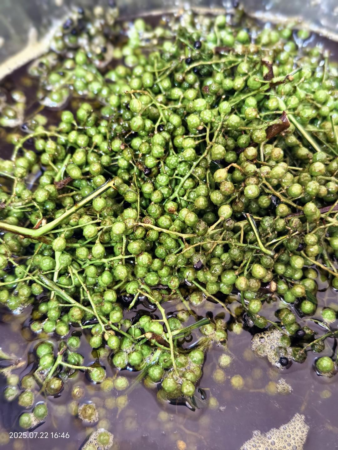 自制花椒油（麻油）