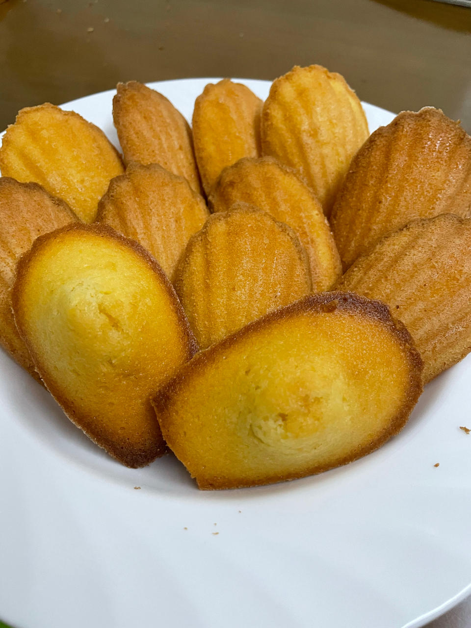 玛德琳（蓝带方）