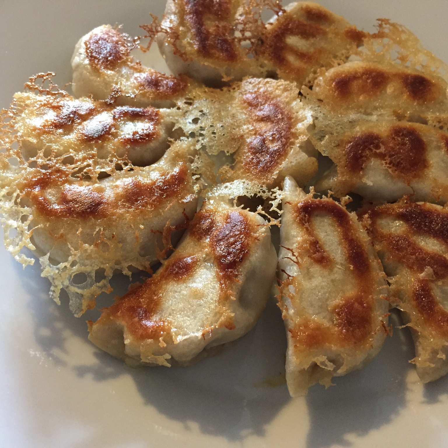 锅贴饺子