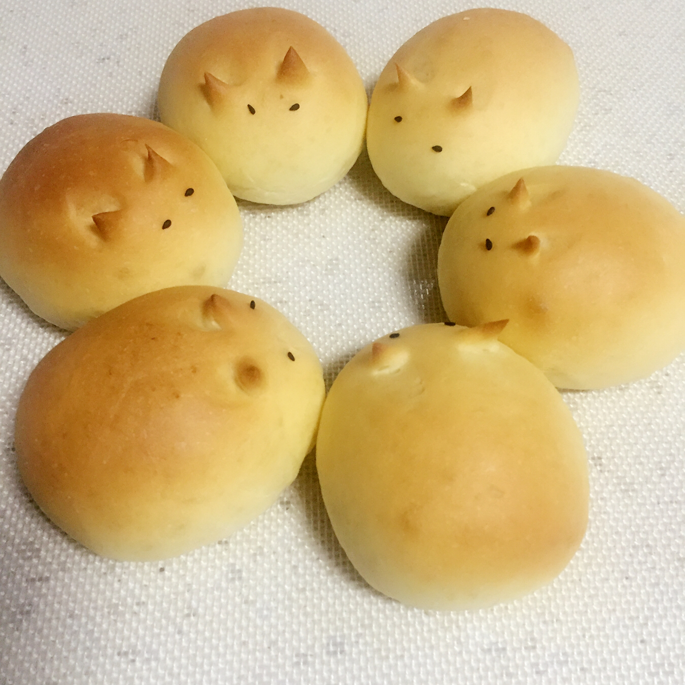 呆萌卡通小餐包