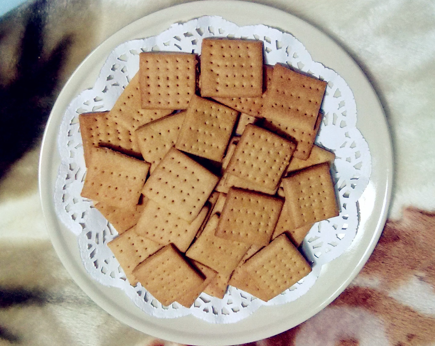 全麦苏打饼干