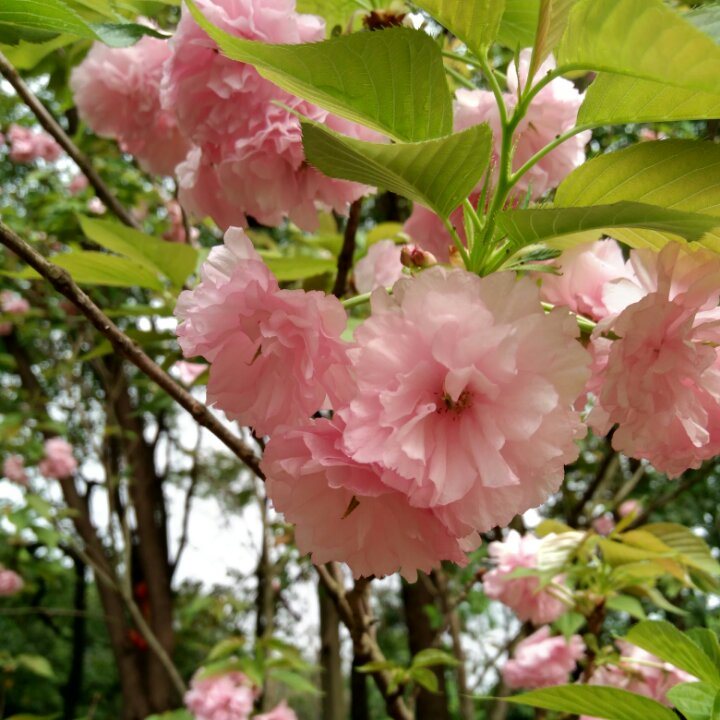 手机用户8830_ayxs