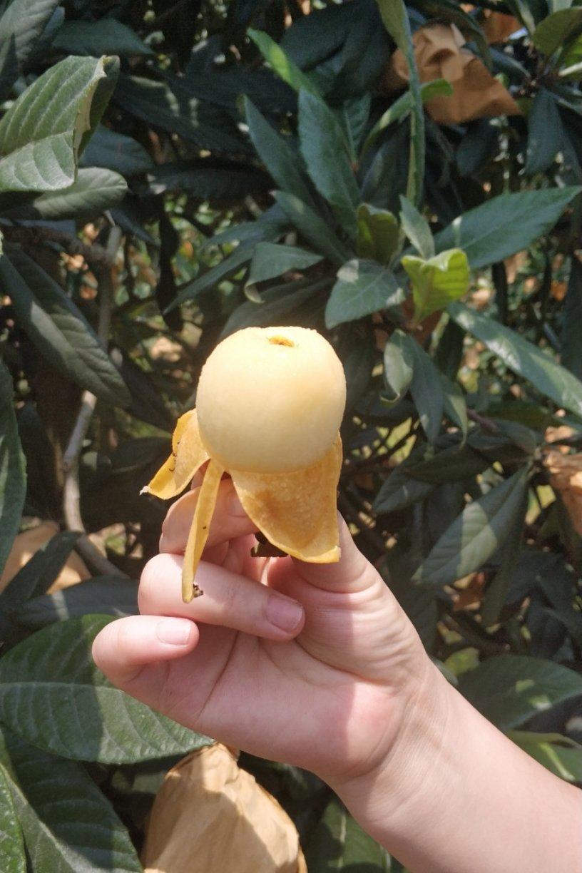 午餐•2019年5月12日