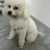 宇多西kk一起来看小流宇宇多小爱芽多宇怪鱼圣少HHZH