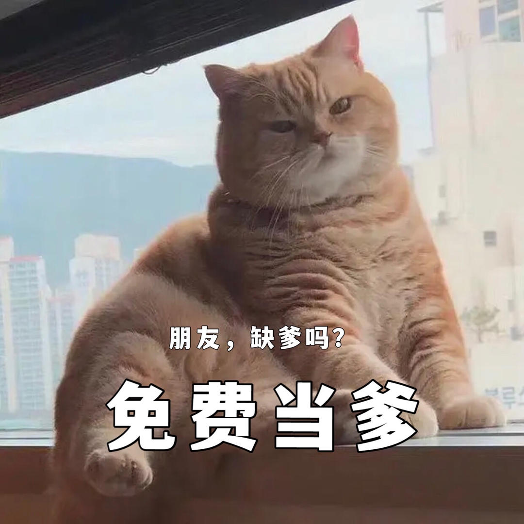 一次性硬币