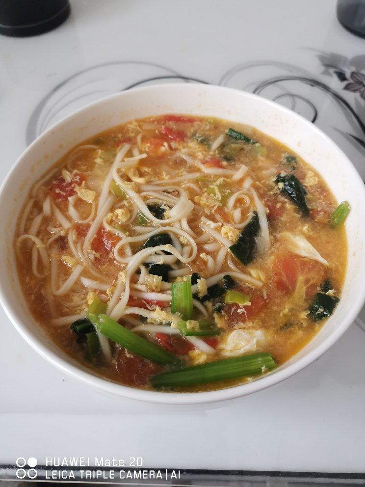 西红柿鸡蛋菠菜面