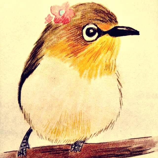 爱烘焙的一颗蛋