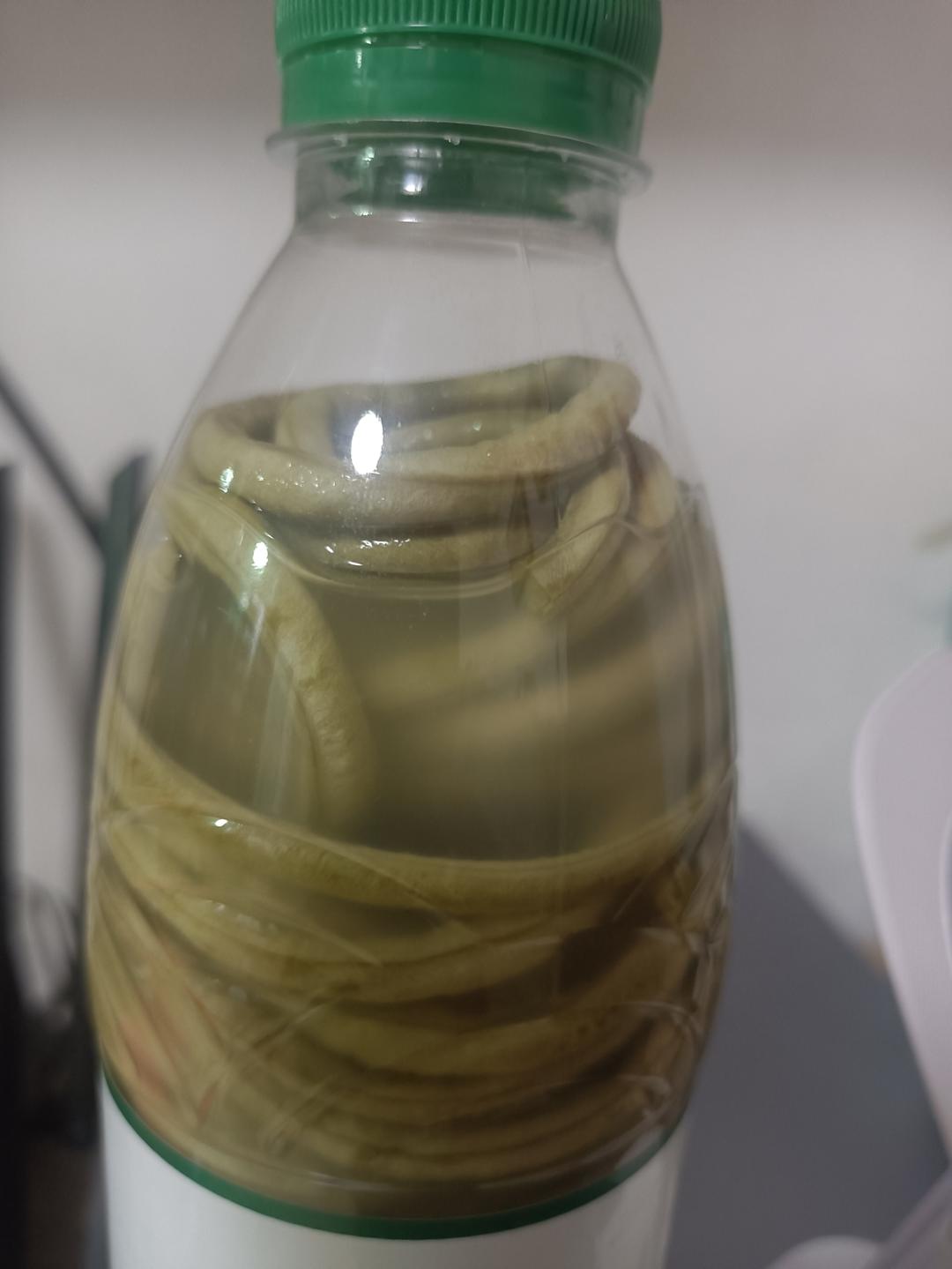 我出息了学会了腌酸豆角