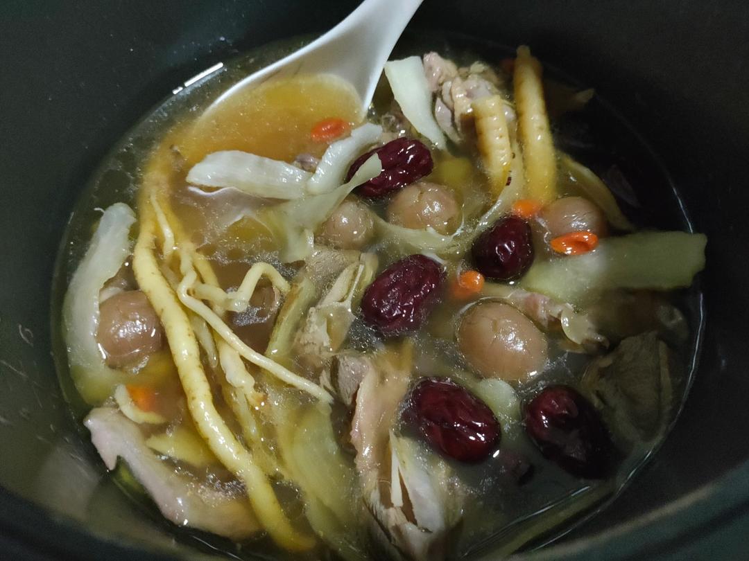 灵魂鸽子炖汤