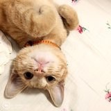 ShirleyWu