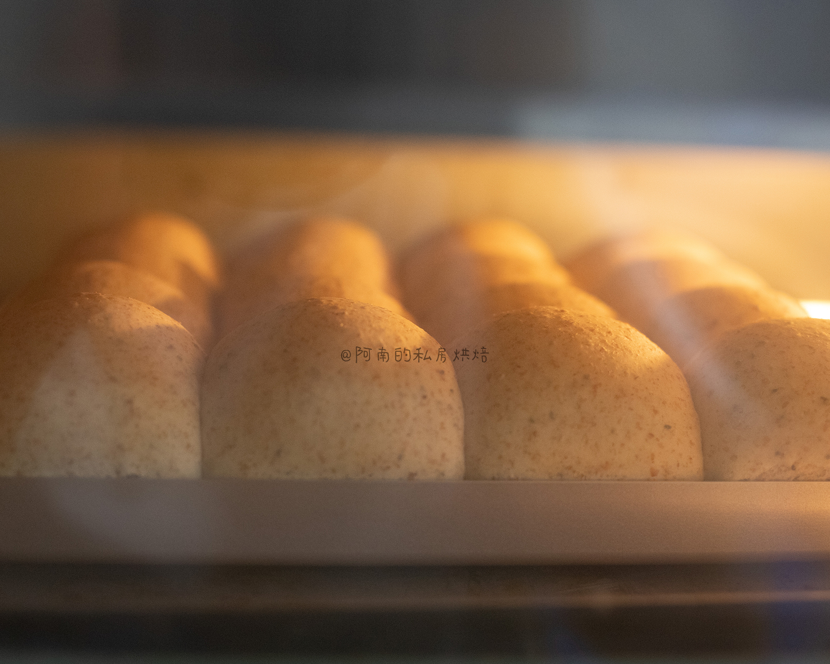 波兰种奇亚籽全麦小餐包！会拉丝的全麦面包！的做法 步骤14