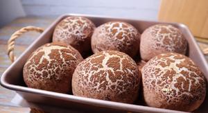 烘焙店畅销的巧克力可可牛奶面包❗️网红蘑菇云面包‼️松软好吃孩子最爱的做法 步骤18
