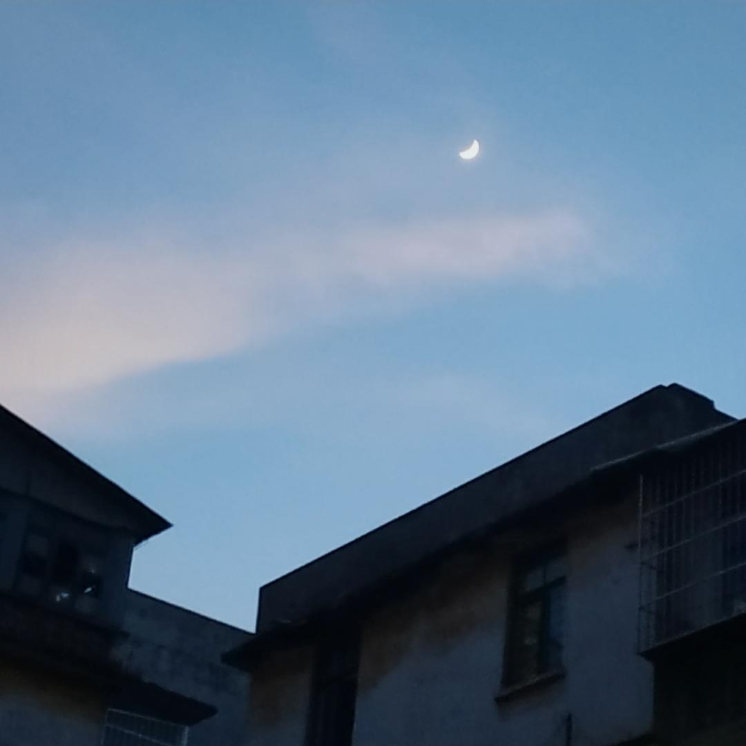 小螃蟹要长高