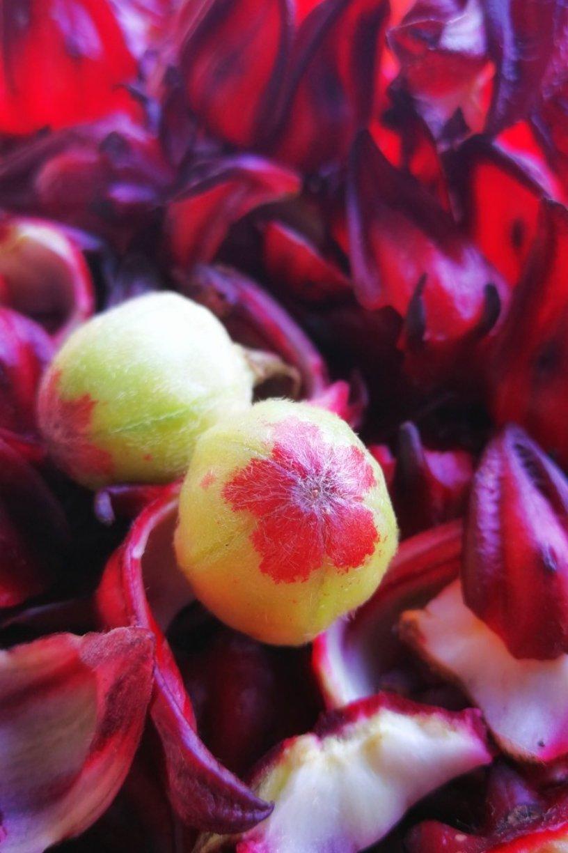 玫瑰茄果酱（洛神花酱）