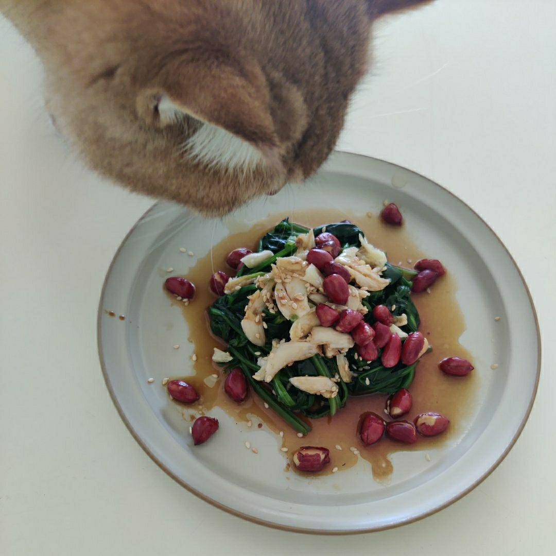 【跟我做不会错】爽口美味果仁菠菜，家常夏日必备凉菜