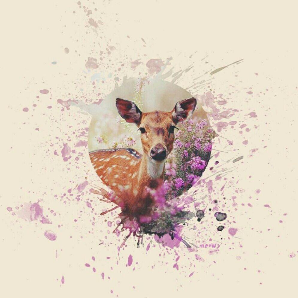 新浪微博用户_5ehx