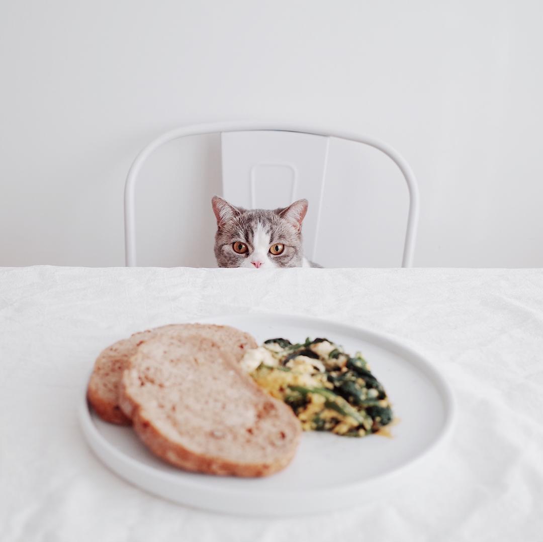 菠菜奶酪烘蛋 (无油快手早餐! )