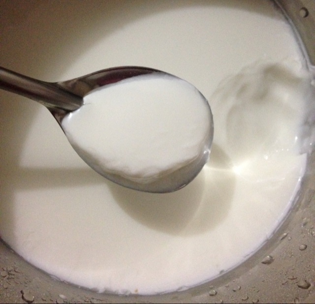 小熊酸奶机自制酸奶