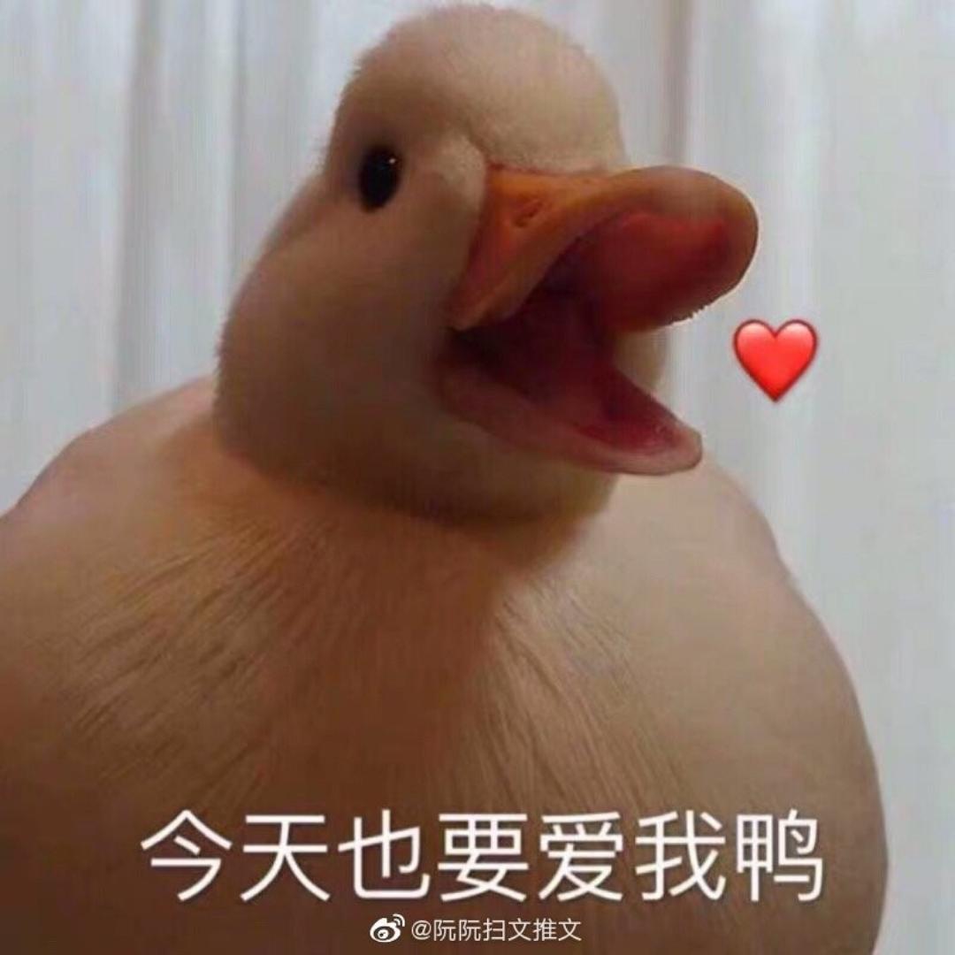 厨神后人的朋友甲