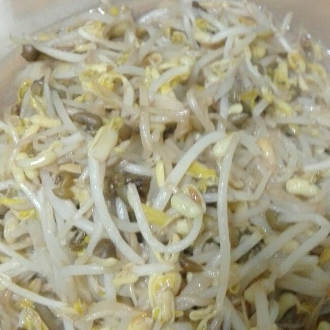素炒豆芽