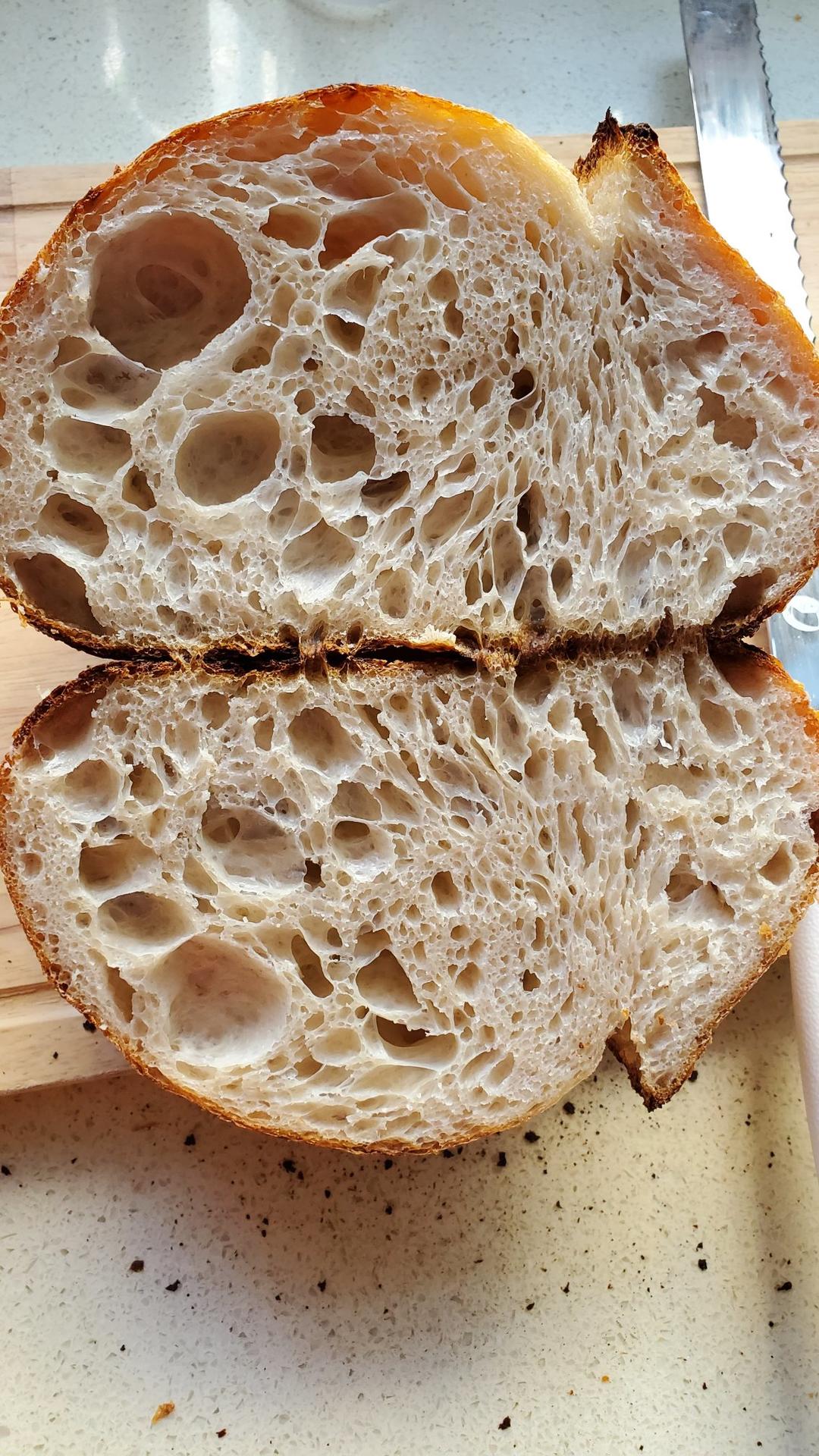 【硬欧笔记】GirlMeetsBread「Sourdough Notebook」