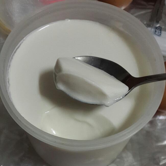自制无糖酸奶的做法