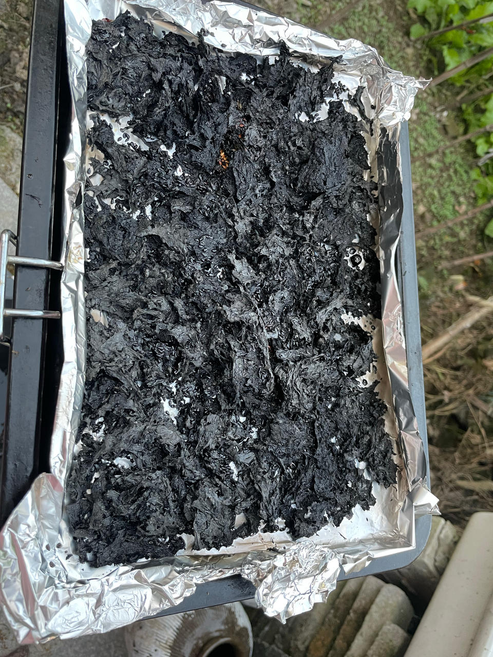 自制海苔