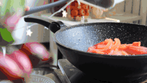 番茄油焖鸡的做法 步骤15
