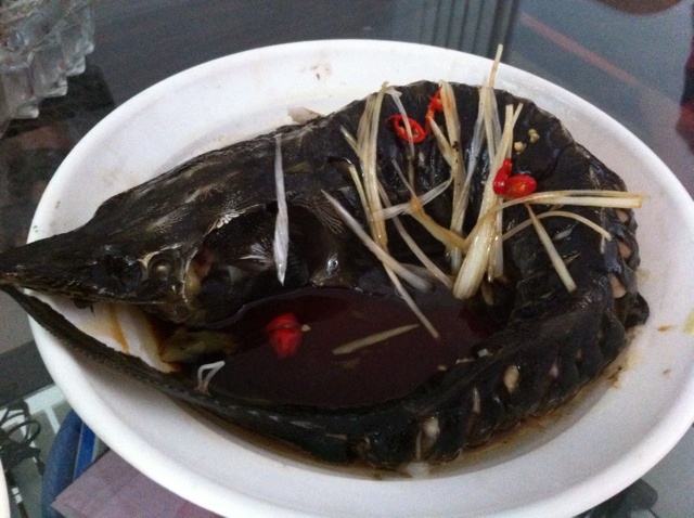 这鱼浑身都是宝——清蒸鲟鱼