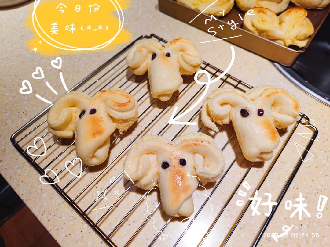 椰蓉小面包|🐏小绵羊|🐙小章鱼|可可爱爱|哄娃必备