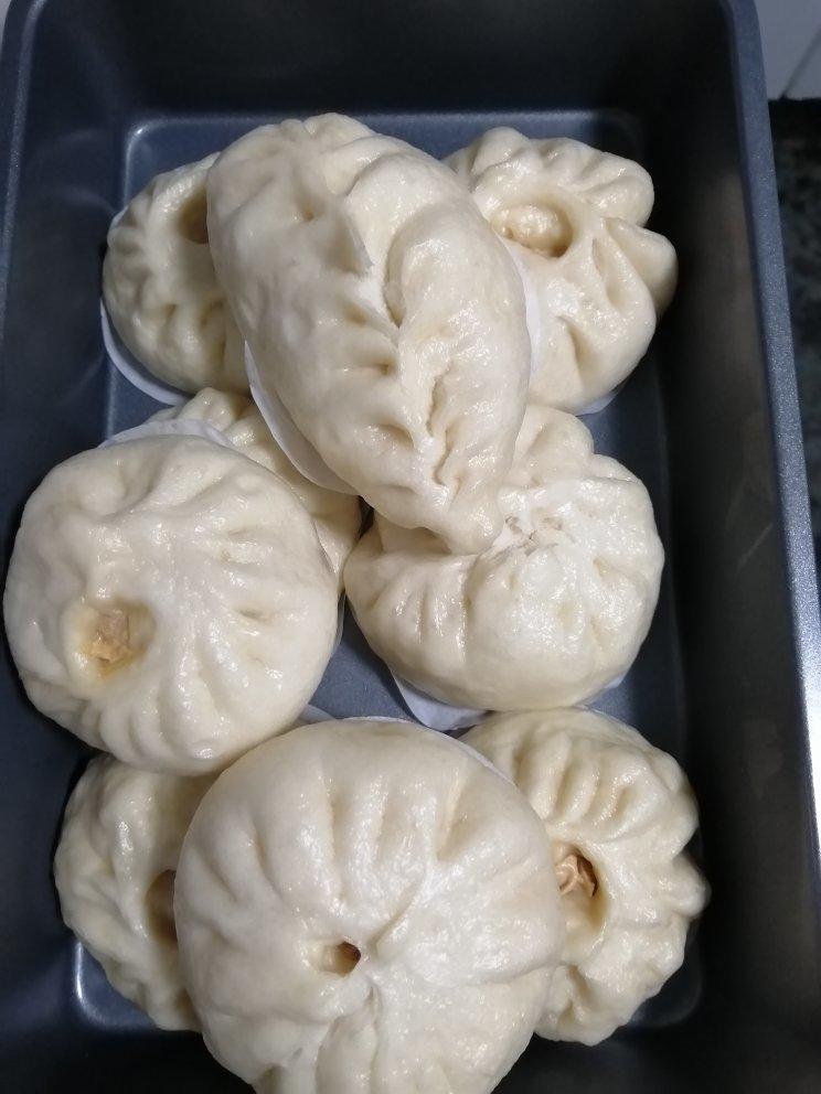 鲜肉包子（附 厨师机揉面方法）