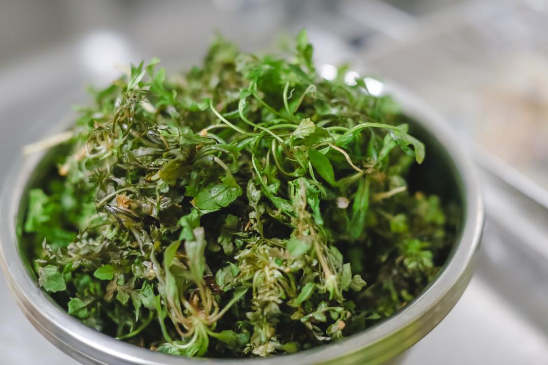 荠菜猪肉水饺的做法