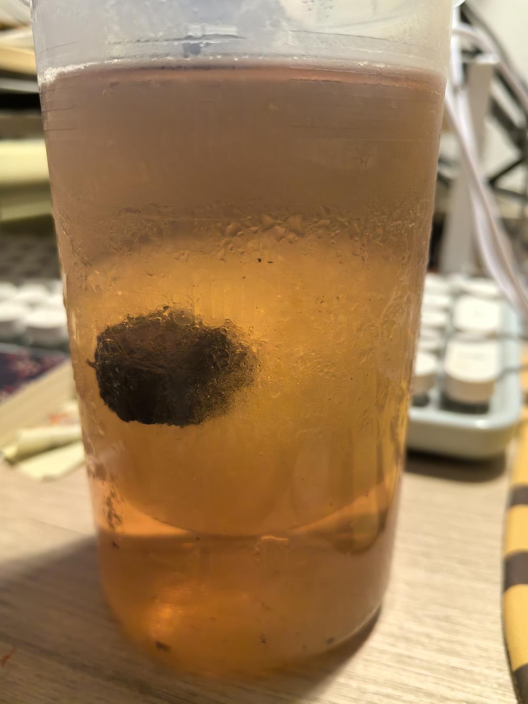 梅子冰+N