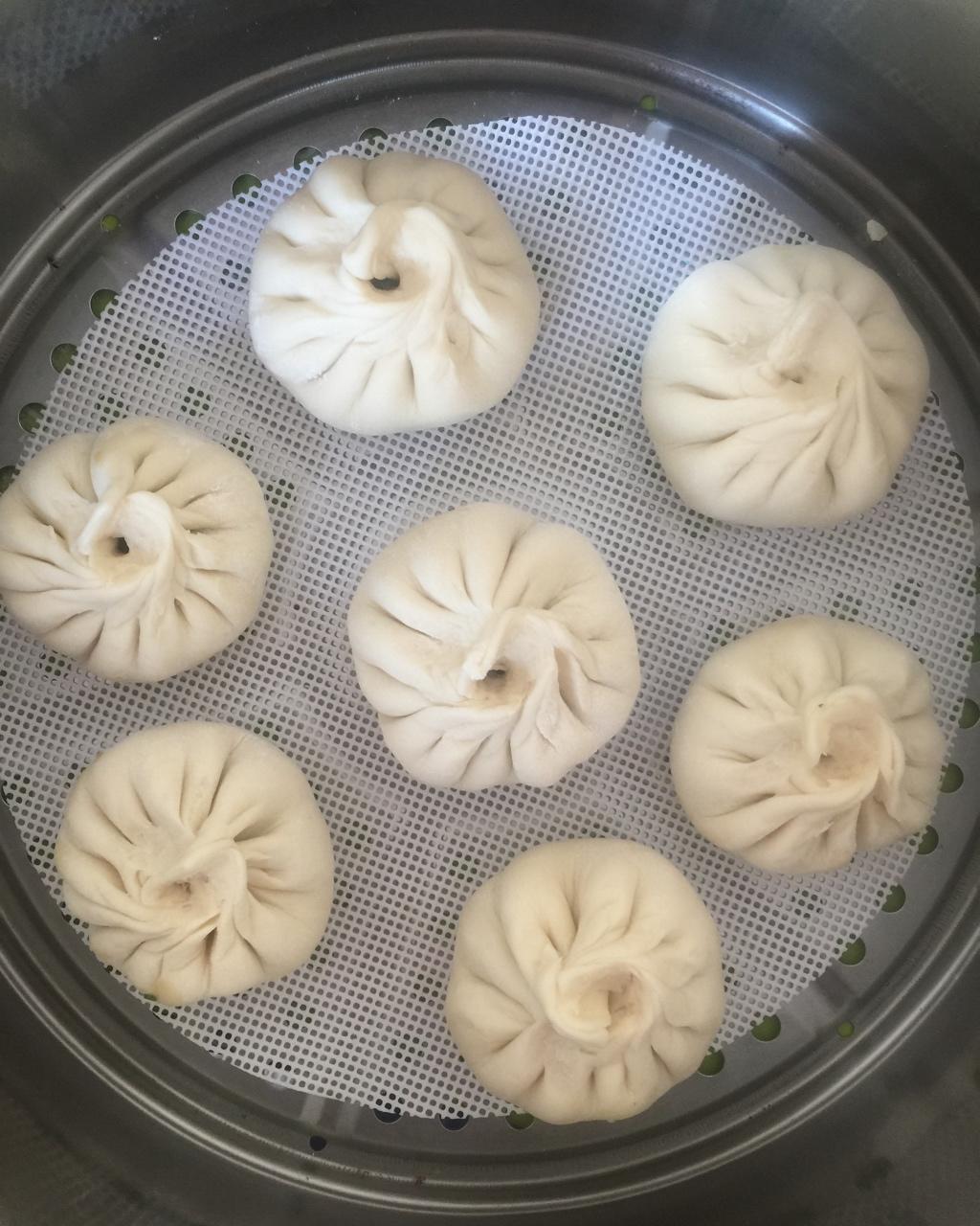 猪肉包子（附视频。一次性发酵。）