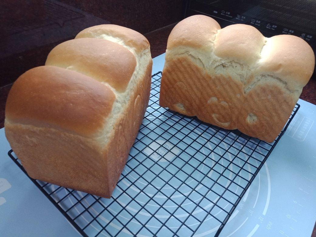 比棉花还柔软的中种北海道吐司