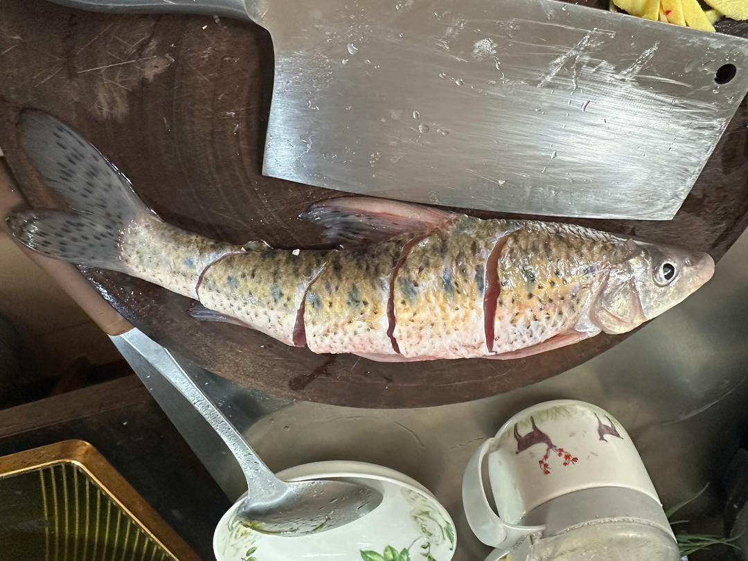 红烧鱼激浪鱼
