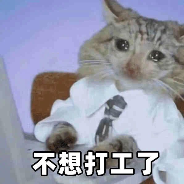 神厨小哼唧