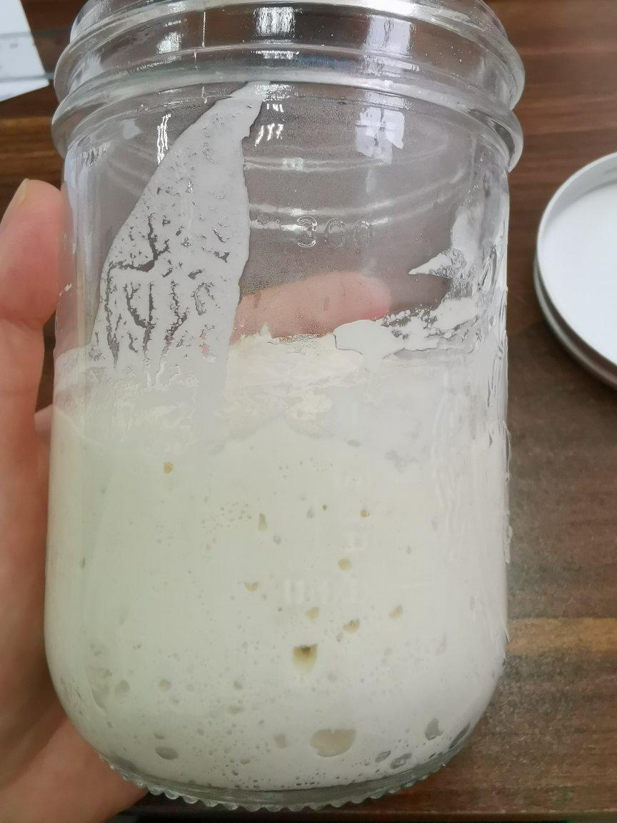 盐面包