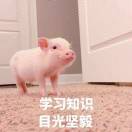 阿灿_nh1g