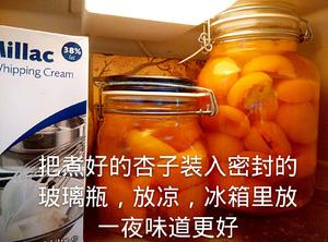 糖水杏子罐头的做法 步骤6