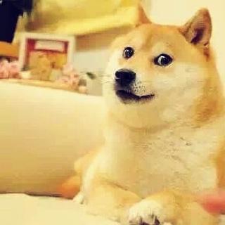 弦声夺人