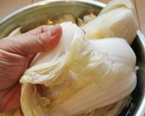 传统韩国泡菜Kimchi韩国辣白菜的做法 步骤2