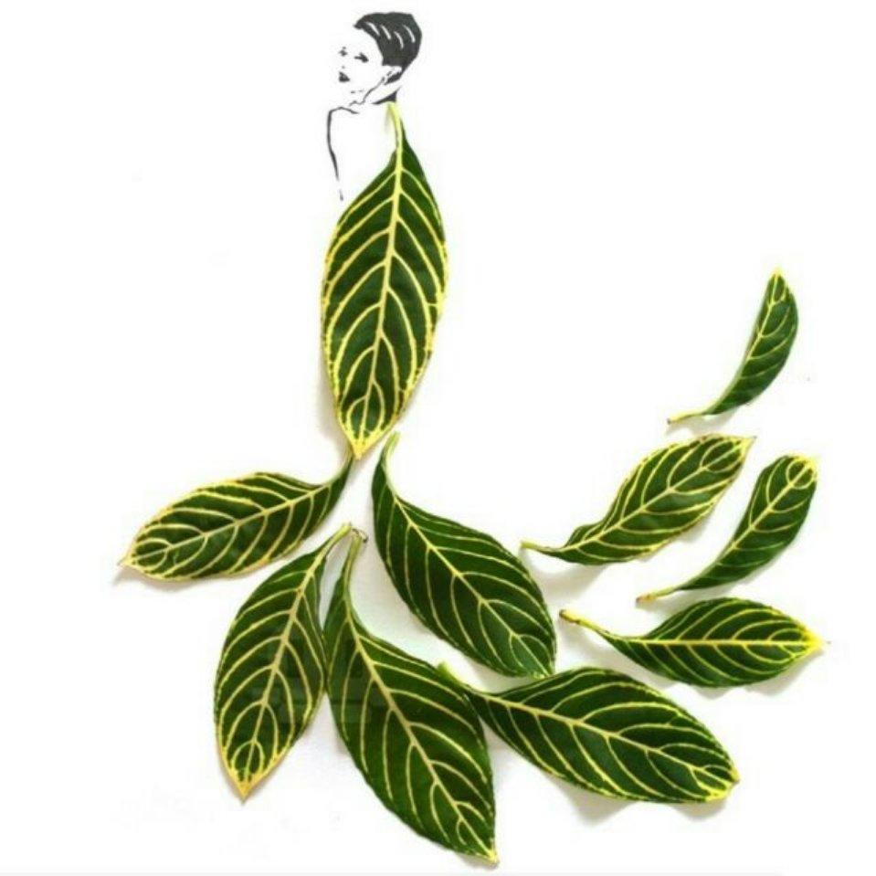 我家有女已婷婷