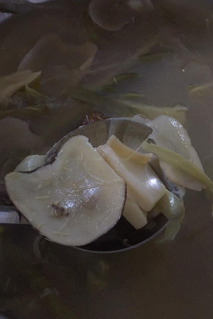 海底椰剑花润肺汤