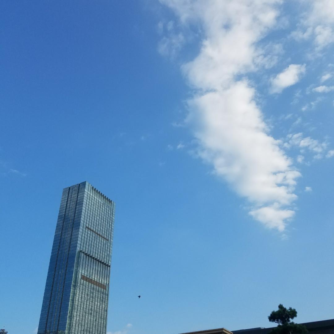 海H浪L