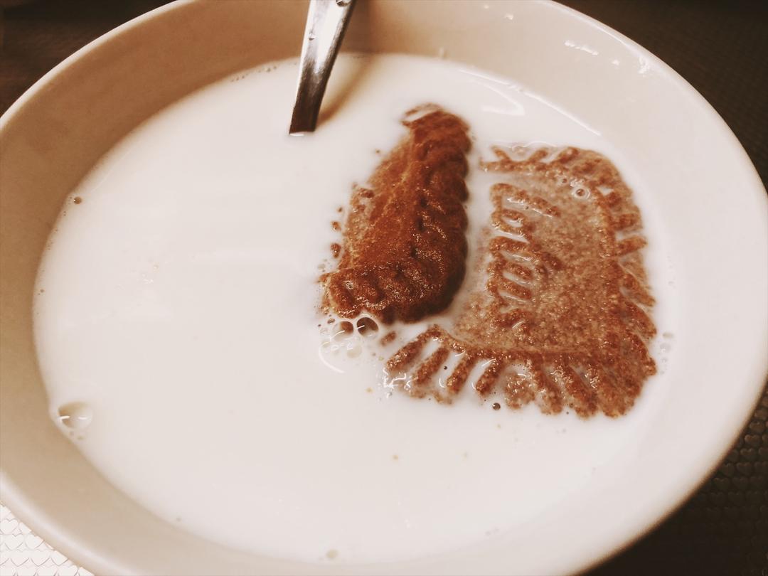 焦糖饼干仿lotus饼干